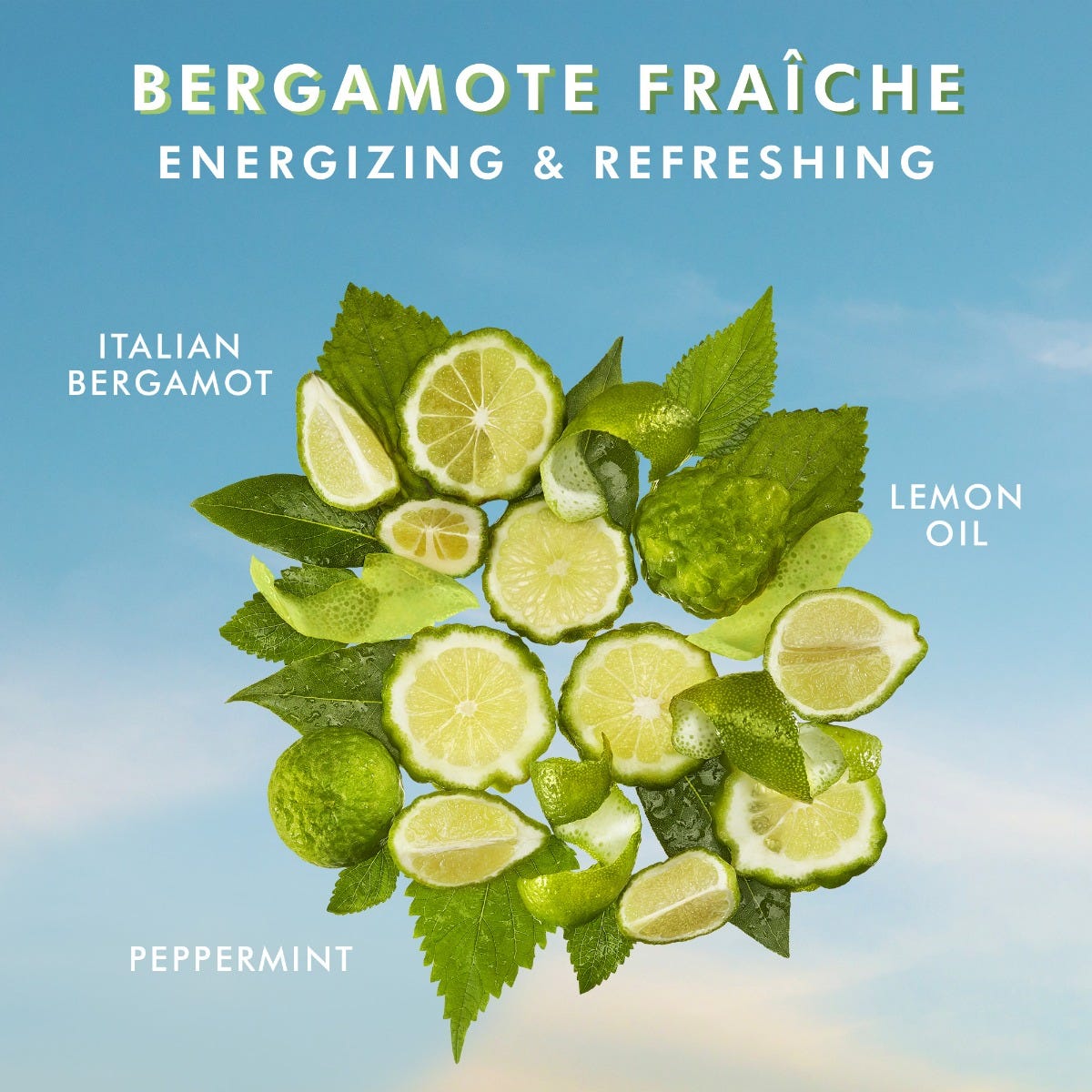 Moroccanoil Body Bergamote Fraiche Shower Gel