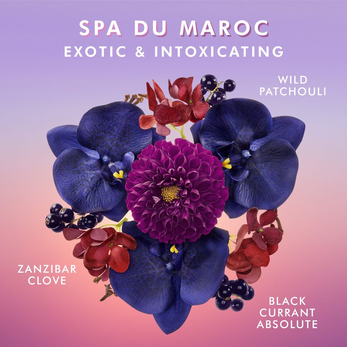 Moroccanoil Body Spa Du Maroc Shower Gel