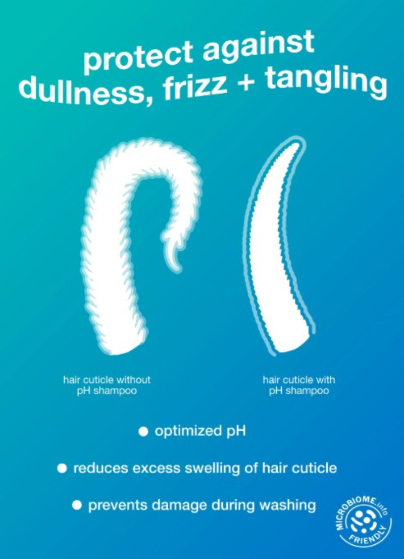 An informational graphic on a blue gradient background comparing hair cuticle appearance with and without pH shampoo. Large white text reads 'protect against dullness, frizz + tangling,' with smaller labels beneath each cuticle illustration and a circular 'Microbiome Friendly' badge at the bottom right.