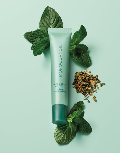 Moroccanoil Body Lip Balm Trio