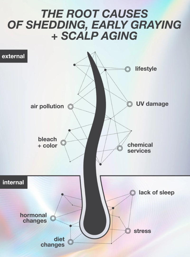 An informational graphic about hair shedding and scalp aging, with a large black hair silhouette split into external and internal sections. Text labels include lifestyle, air pollution, UV damage, bleach + color, chemical services, lack of sleep, hormonal changes, diet changes, and stress. This information belongs to K18 longevity serum