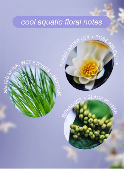 A product graphic for a fragrance note called 'cool aquatic floral notes' on a soft lavender background with blurred white flowers. Three circular inset photos show botanical imagery: green reeds on the left, a white aquatic flower with a yellow center on the upper right, and green berries on the lower right.