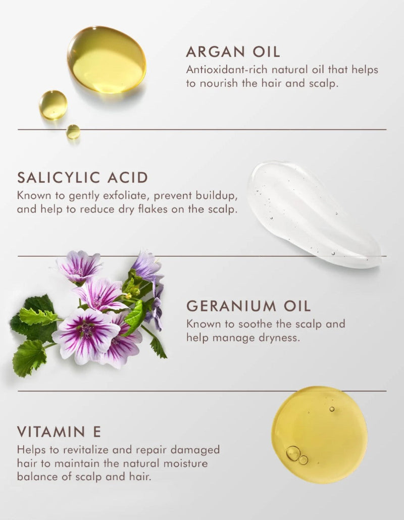 An informational graphic detailing key ingredients for hair and scalp care, including Argan Oil, Salicylic Acid, Geranium Oil, and Vitamin E, with corresponding visual representations of the ingredients on a light gray background.