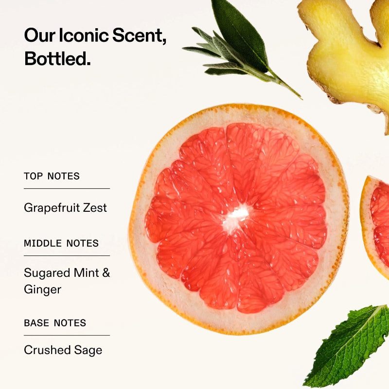 Promotional graphic for a bottled fragrance with text reading 'Our Iconic Scent, Bottled.' and scent notes for top, middle, and base notes.This iconic scented bottle belongs to Olaplex strengthening conditioner