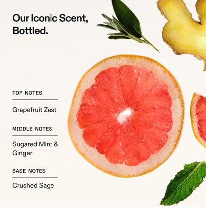 Scent profile graphic for a bottled Olaplex purple conditioner with the text 'Our Iconic Scent, Bottled.' and notes for top, middle, and base notes.