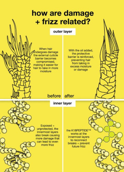 An informational infographic on a bright yellow background titled 'how are damage + frizz related?'. It shows two illustrated hair cross-sections labeled outer layer and before/after, plus two close-up hair-layer diagrams with explanatory text about damage, moisture, and repair.