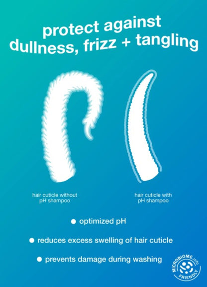 An informational graphic on a blue gradient background comparing hair cuticle appearance with and without pH shampoo. Large white text reads 'protect against dullness, frizz + tangling,' with smaller labels beneath each cuticle illustration and a circular 'Microbiome Friendly' badge at the bottom right.